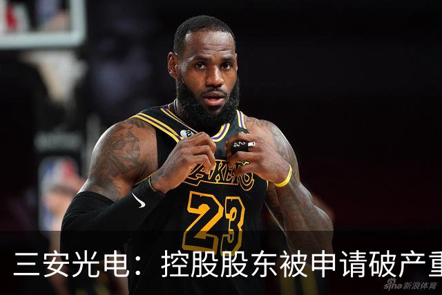 三安光电：控股股东被申请破产重整