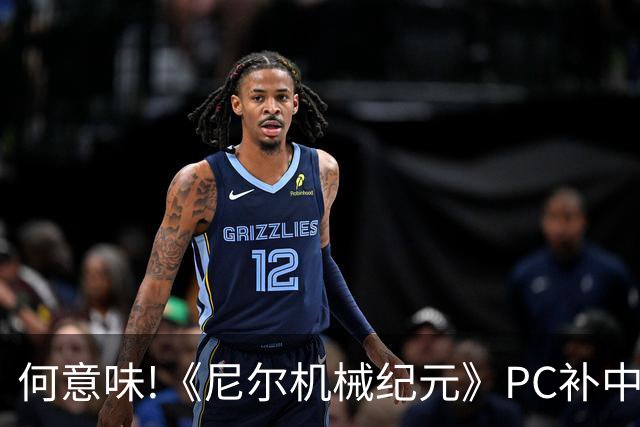 何意味!《尼尔机械纪元》PC补中文:孩子死了来奶了