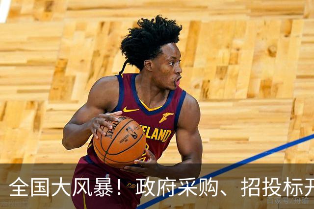 全国大风暴！政府采购、招投标开始严查！这4类行为抓到必处分！