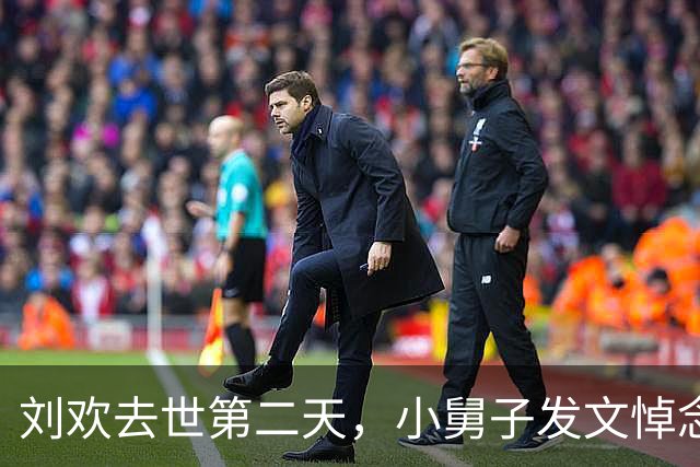 刘欢去世第二天，小舅子发文悼念，他不是传统上的“五福”之人！