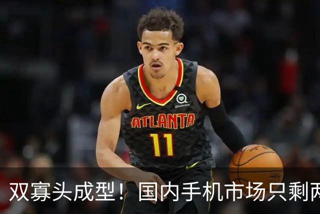 双寡头成型！国内手机市场只剩两大玩家博弈
