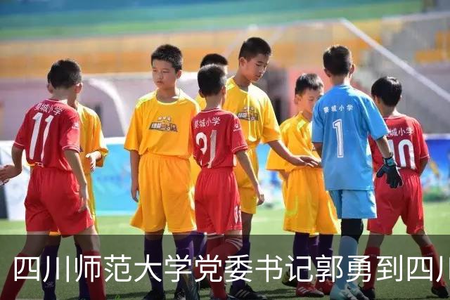 四川师范大学党委书记郭勇到四川文化艺术学院作专题辅导讲座
