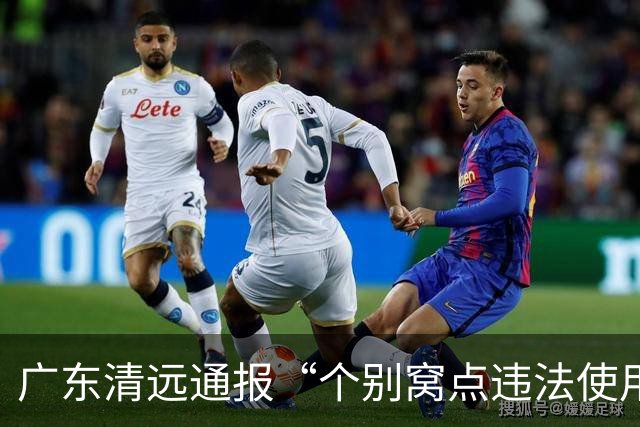 广东清远通报“个别窝点违法使用硫磺熏蒸麻竹笋”：情况属实