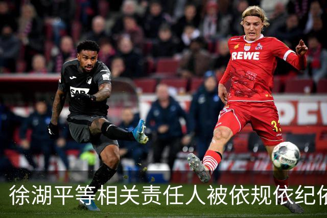 徐湖平等相关责任人被依规依纪依法处理