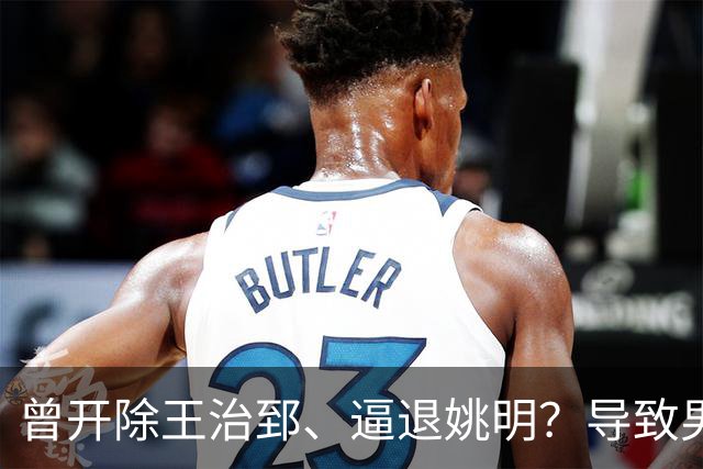 曾开除王治郅、逼退姚明？导致男篮倒退20年的，真的只有他吗？