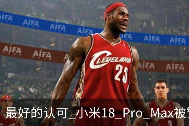 最好的认可 小米18 Pro Max被赞“口袋徕卡” 雷军转发表态