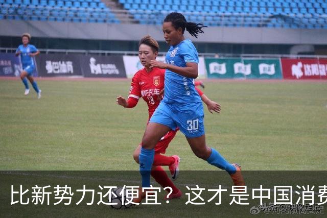 比新势力还便宜？这才是中国消费者想要的合资新能源