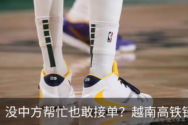 没中方帮忙也敢接单？越南高铁锁定交付期限，天价工程或将成闹剧