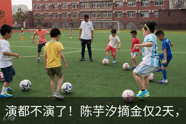 演都不演了！陈芋汐摘金仅2天，担心的事发生了，全红婵也被牵连