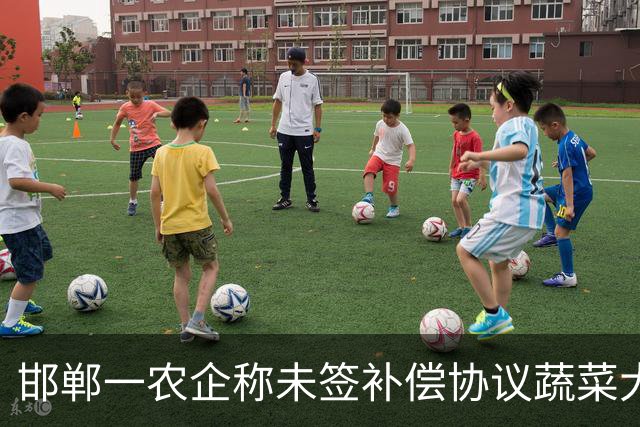 邯郸一农企称未签补偿协议蔬菜大棚等被强拆，当地称正核实