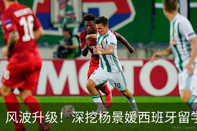 风波升级！深挖杨景媛西班牙留学项目：直博直通，实力碾压清北港三