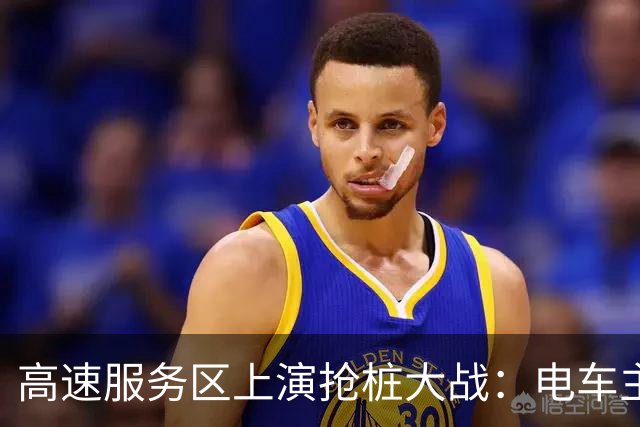 高速服务区上演抢桩大战：电车主认为充电排大队全怪增程多