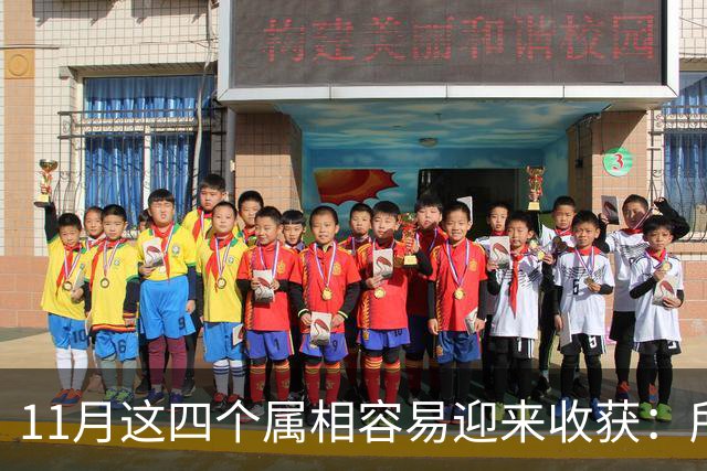 11月这四个属相容易迎来收获：所有惊喜，都是长期默默耕耘的结果