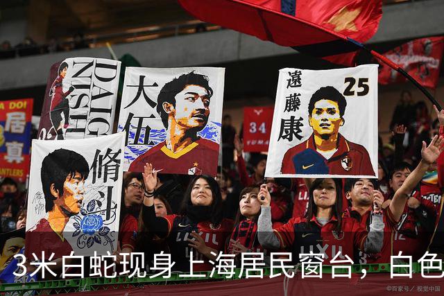 3米白蛇现身上海居民窗台，白色大蛇静静趴在窗外缓慢蠕动，住户被当场吓到，网友看到画面直呼瞬间理解许仙