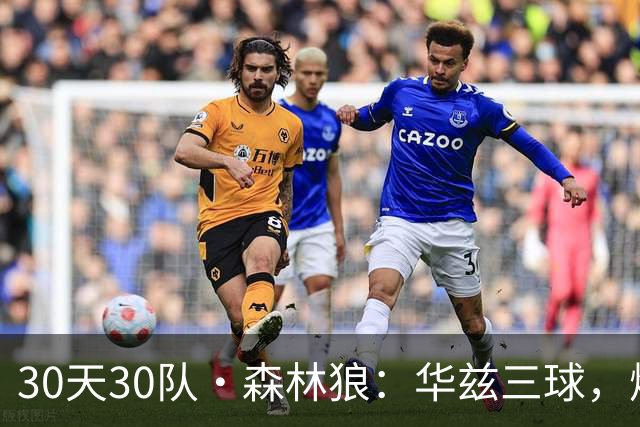 30天30队·森林狼：华兹三球，燃情奔狼